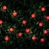 B&M 30 Insect Solar String Lights - Ladybird 2 B&M 30 Insect Solar String Lights - Ladybird -Garden Furniture Shop 265270 20 Nature String Solar Lights Ladybird1