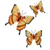 B&M Butterflies Wall Art 3pk - Orange -Garden Furniture Shop 353687 3pk butterflies wall art orange 2