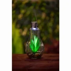 Mason & Jones - Solar Specialists Succulent Solar Light Bulb