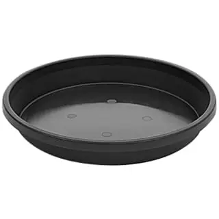 B&M Saucer Planter - Black 3 B&M Saucer Planter - Black