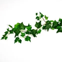 Mason & Jones - Solar Specialists Solar Powered 5m Artificial Ivy Leaf Garland 60pk - Warm White LED -Garden Furniture Shop 379256 botanical garden 5m solar powered artificial ivy leaf garland 60 warm white leds 7