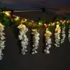 Mason & Jones - Solar Specialists Solar Powered 180cm Artificial Leaf Garland With Wisteria Flowers - Warm White -Garden Furniture Shop 379258 180cm solar powered artificial leaf garland with wisteria flowers 20 warm white micro leds 2