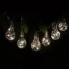 Mason & Jones - Solar Specialists Solar Powered 12 Clear Light Bulb String LED Lights - Warm White