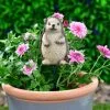B&M Carved Wood Effect Garden Plant Pot Stick - Hedgehog -Garden Furniture Shop 379521 wood animal pot sticks hedgehog