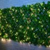 Bloom Solar Powered Expanding Artificial Leaf Trellis 200 X 100cm -Garden Furniture Shop 379978 expanding leafy trellis 100 leds 2x1m 2