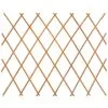 GARDENERS CORNER Expanding Garden Trellis 180 X 120cm -Garden Furniture Shop 380011 expanding garden trellis 180x120cm 2