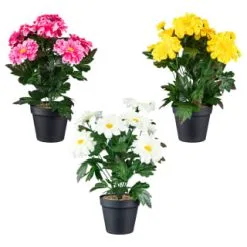 B&M Zinnia Plant Pot - Yellow -Garden Furniture Shop 392826 zinnia in pot group