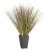 B&M Onion Grass In Black Terracotta Pot -Garden Furniture Shop 392866 onion grass in black terracotta pot
