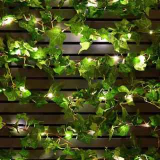 Mason & Jones - Solar Specialists Solar Powered Artificial Ivy Garland 5m 5 Mason & Jones - Solar Specialists Solar Powered Artificial Ivy Garland 5m - Image 3