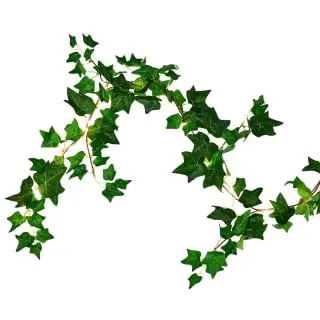 Mason & Jones - Solar Specialists Solar Powered Artificial Ivy Garland 5m 6 Mason & Jones - Solar Specialists Solar Powered Artificial Ivy Garland 5m - Image 4