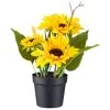 B&M Sunflower Plant Pot -Garden Furniture Shop 392959 sunflower