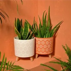 B&M Planter On Tripod Stand - Cream -Garden Furniture Shop 393647 superbloom planter on tripod stand terracotta1