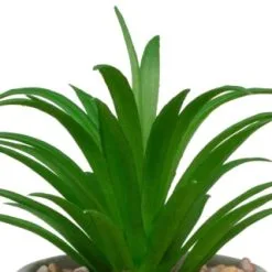 B&M Assorted Small Concrete Succulents -Garden Furniture Shop 394713 small concrete succulent 2