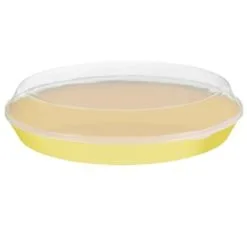 B&M Food Tray With Clear Lid - Yellow